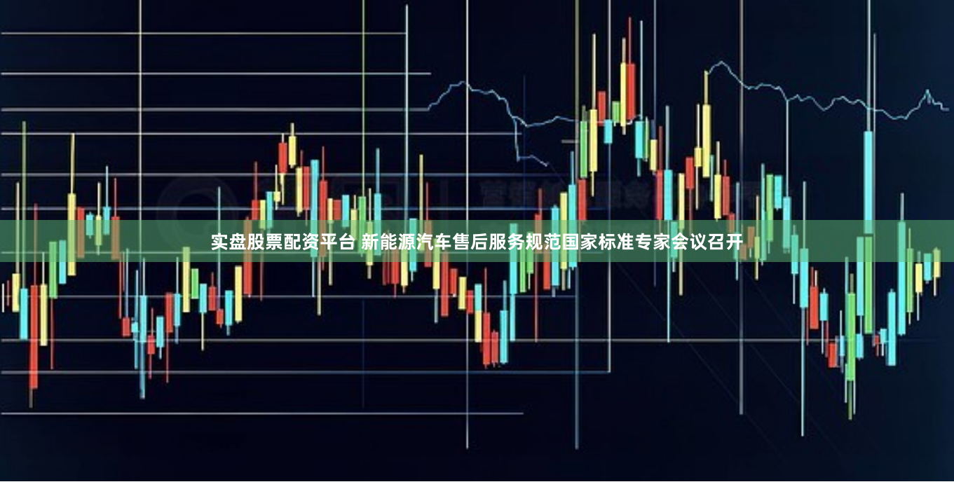 实盘股票配资平台 新能源汽车售后服务规范国家标准专家会议召开